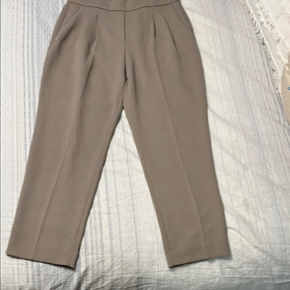 Aritzia Babaton Women's Taupe High-Waisted dress Pants EUC - Picture 1 of 5